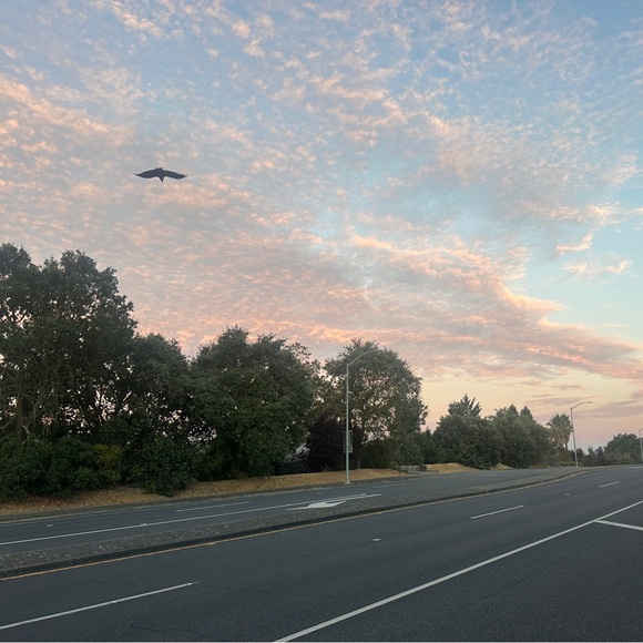 Meet your Posher, Michelle - Picture 1 of 1